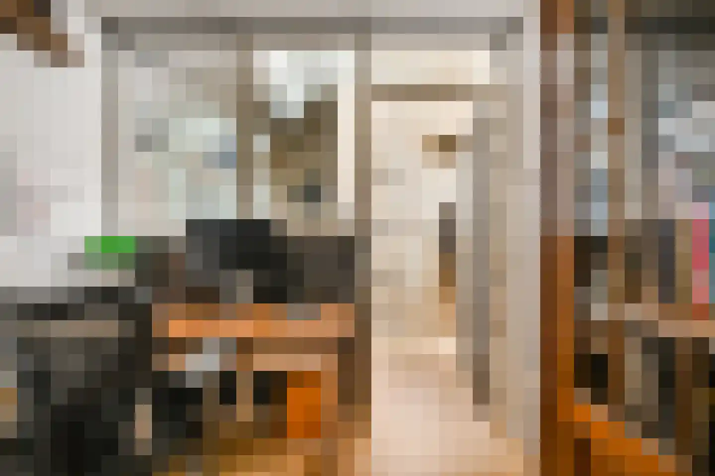Koolsteeg 30 Haarlem thumbnail 20