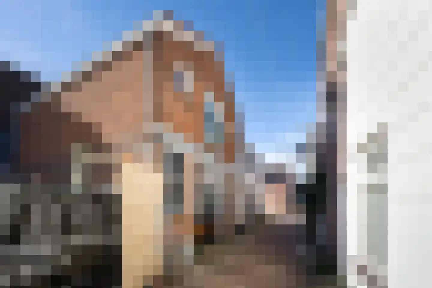 Koolsteeg 30 Haarlem thumbnail 28