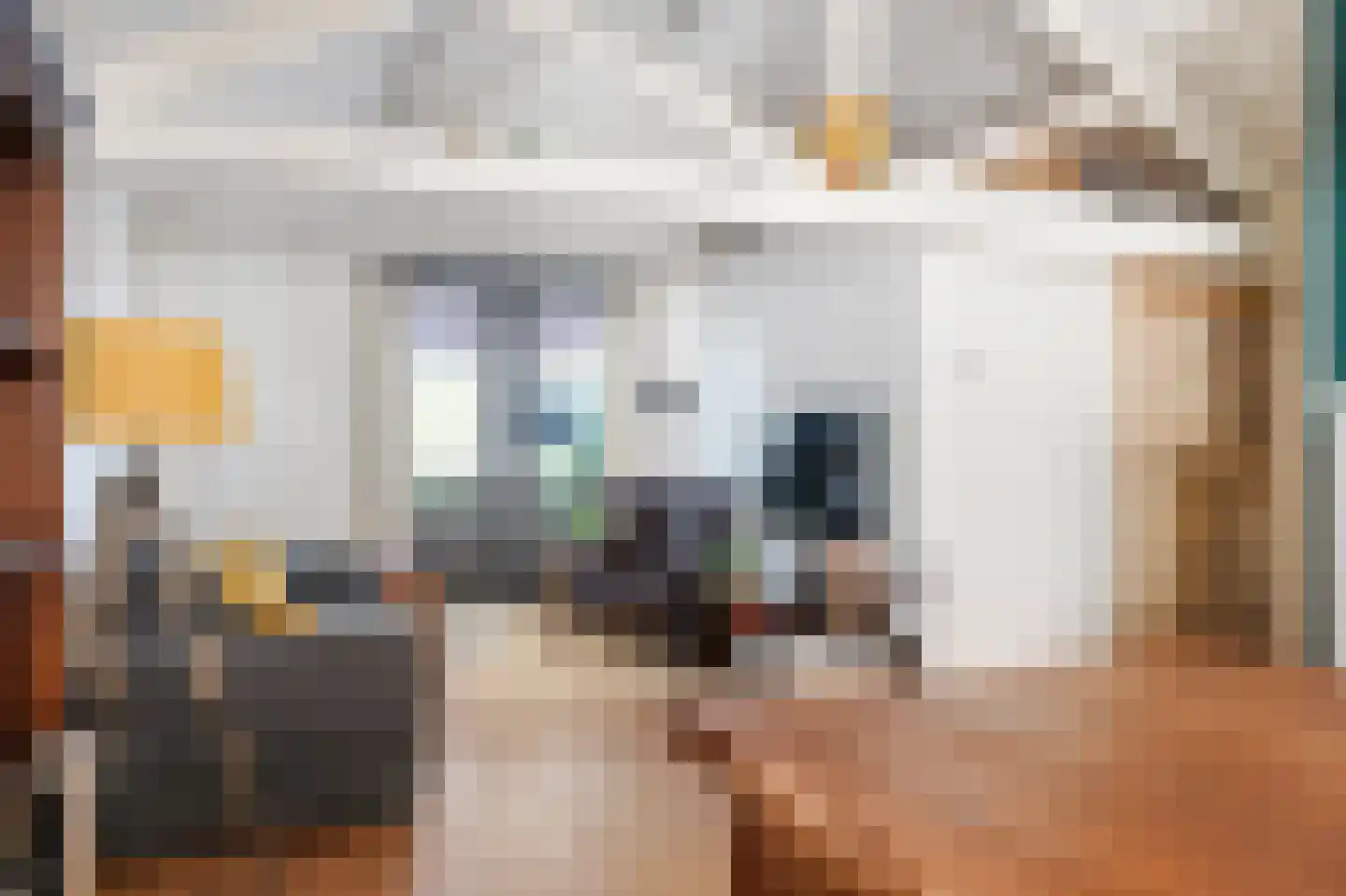 Koolsteeg 30 Haarlem thumbnail 8