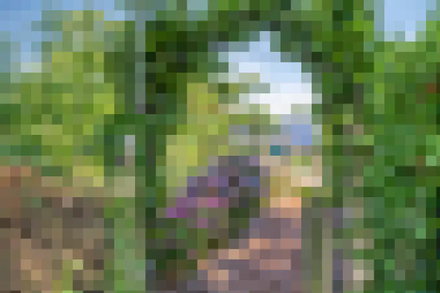 Koolsteeweg 12 Mariënvelde thumbnail 5