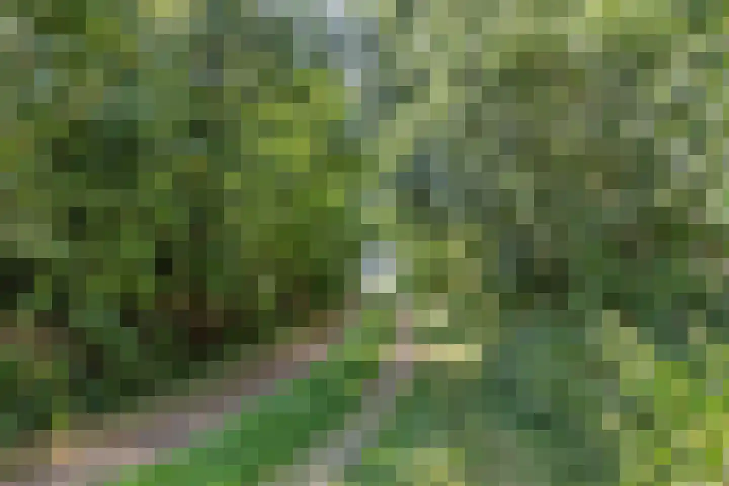 Koolsteeweg 12 Mariënvelde thumbnail 51