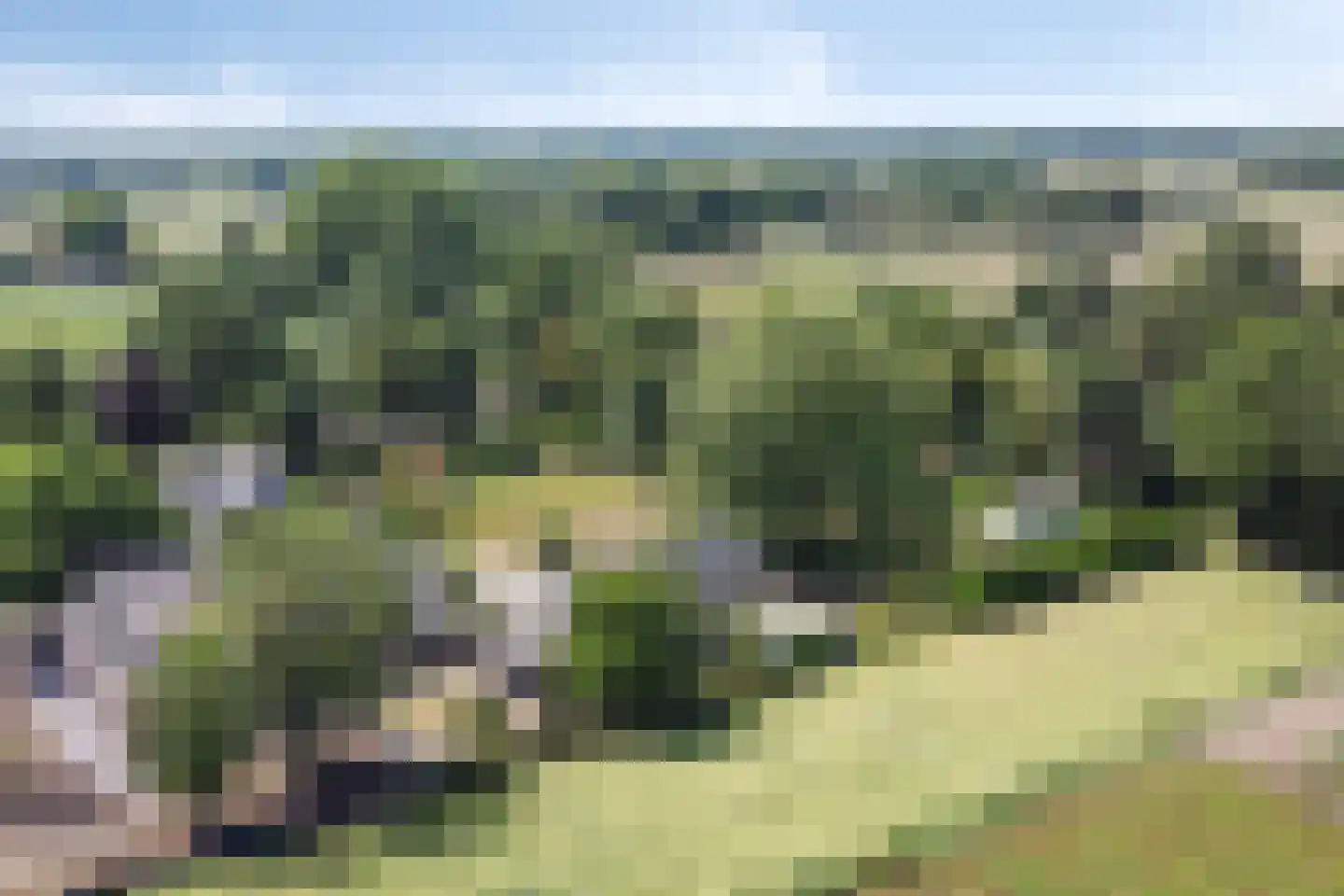 Koolsteeweg 12 Mariënvelde thumbnail 64