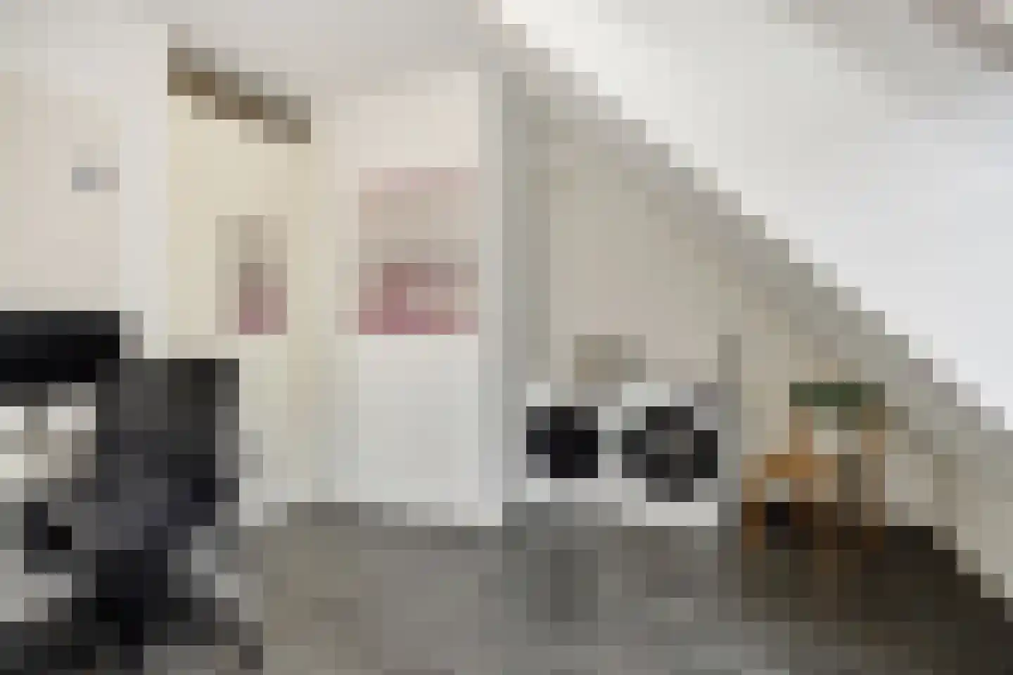 Koolstraat 11 Helmond thumbnail 22