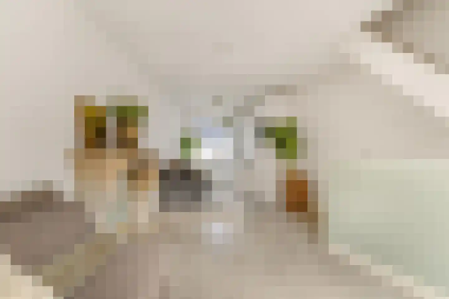 Koolstraat 12 Beverwijk thumbnail 21