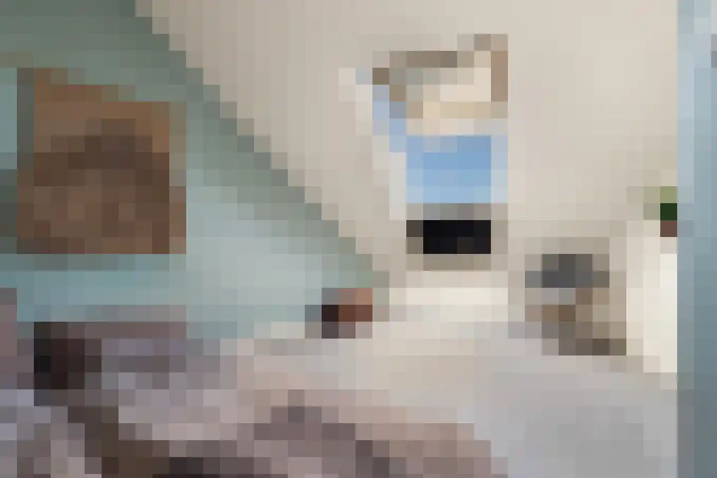 Koolstraat 12 Beverwijk thumbnail 22