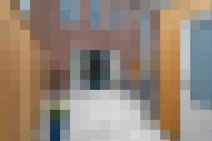Koolstraat 15 Helmond thumbnail 6