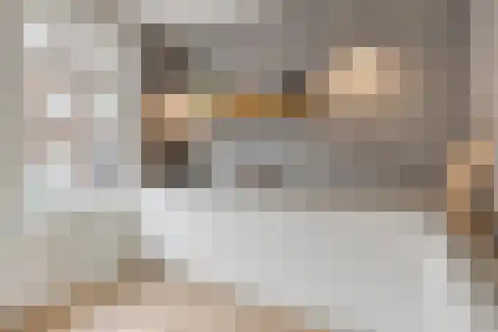 Koolstraat 19 Helmond thumbnail 15