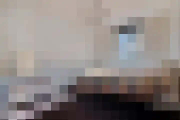 Koolstraat 24 Helmond thumbnail 4