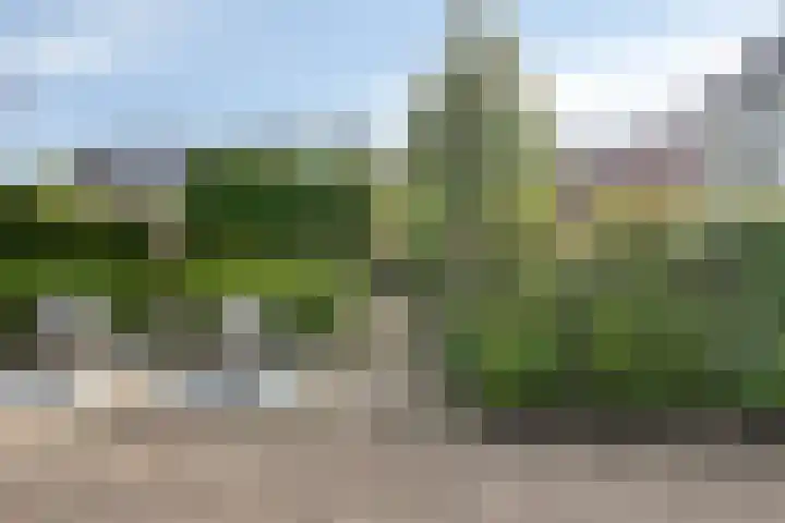 Koolstraat 24 Helmond thumbnail 44