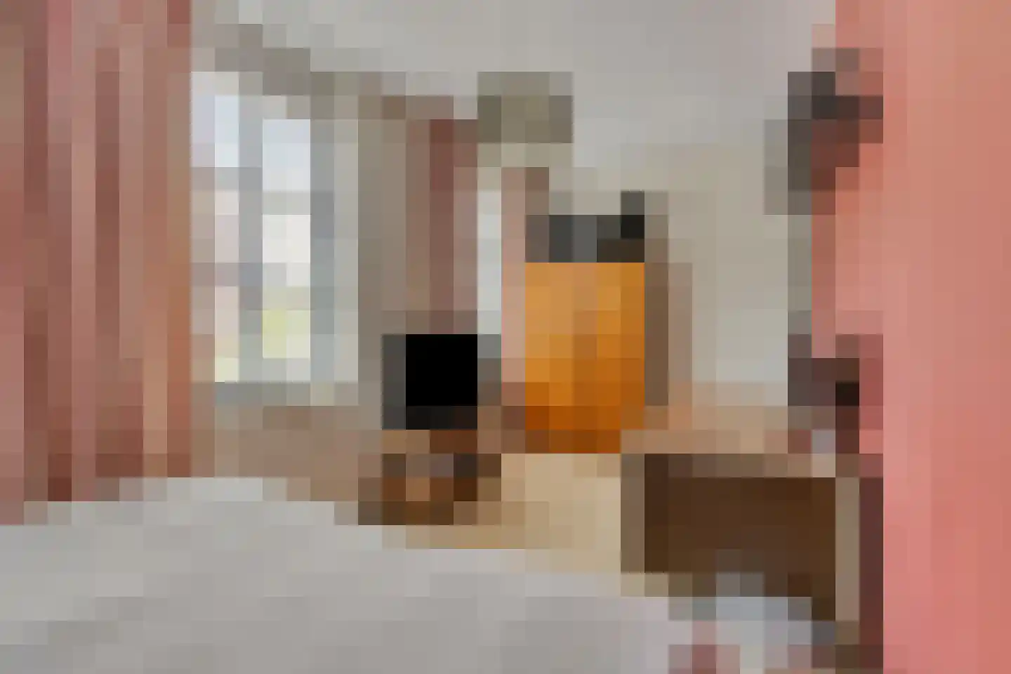 Koolstraat 25 Helmond thumbnail 24