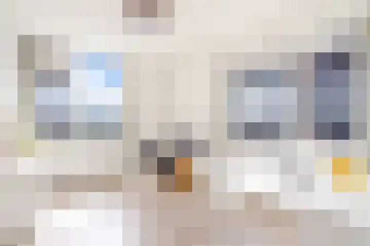 Koolstraat 25 Utrecht thumbnail 6