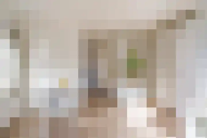 Koolstraat 25 Utrecht thumbnail 7