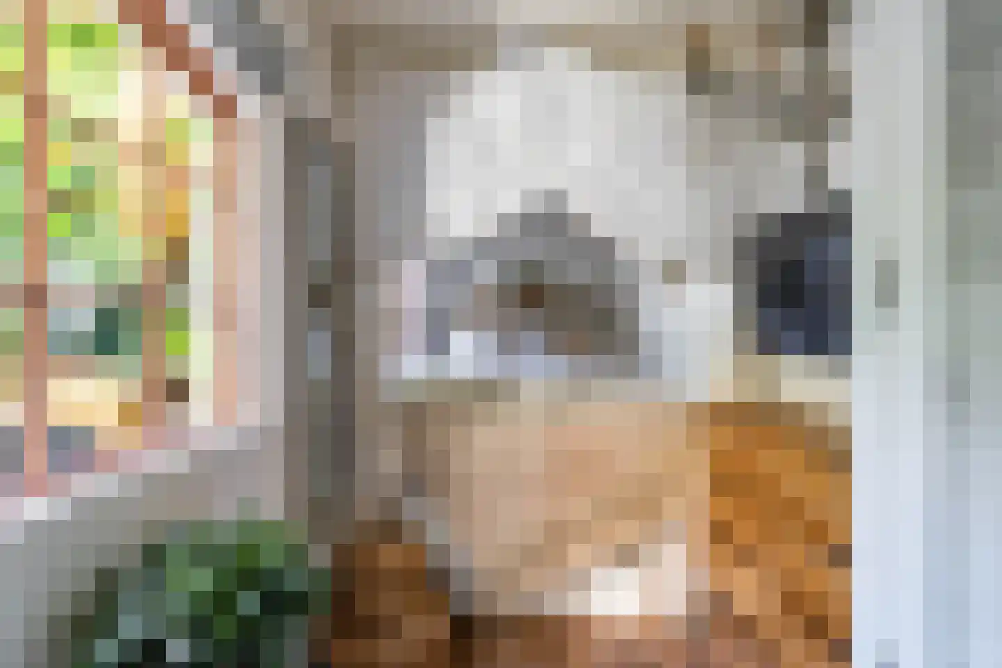 Koolstraat 26 Groningen thumbnail 28