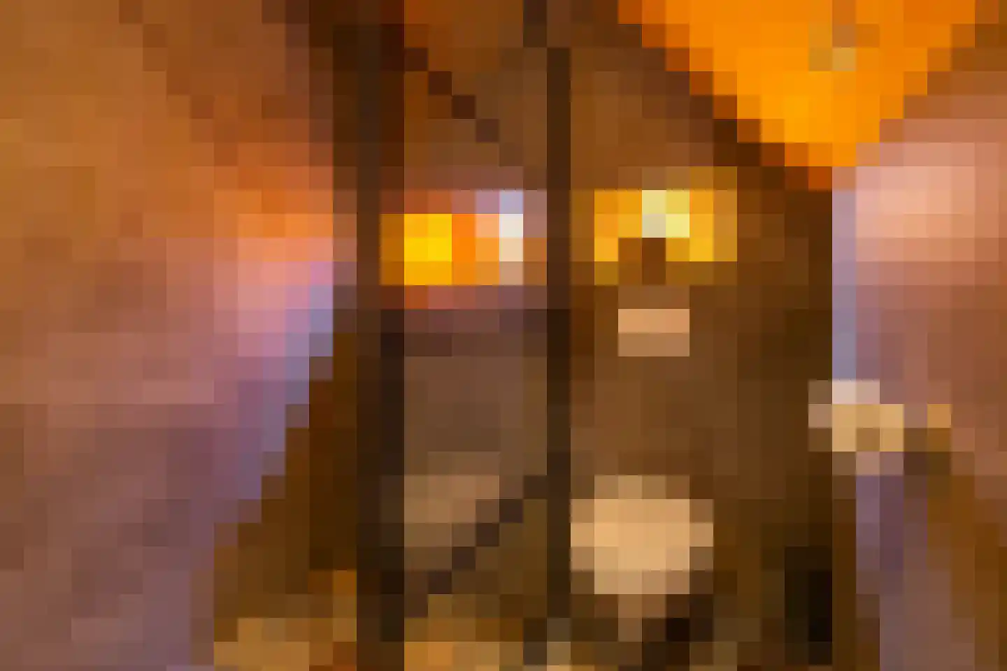 Koolstraat 26 Groningen thumbnail 31
