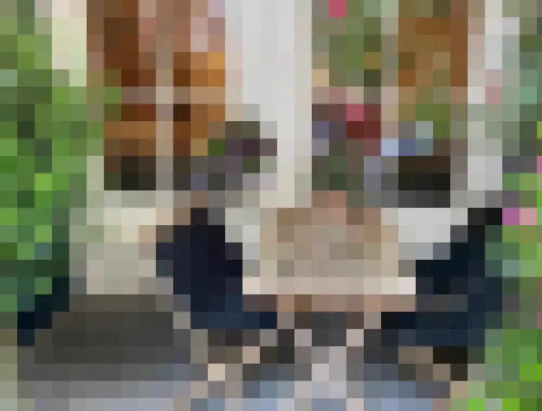 Koolstraat 26 Groningen thumbnail 34