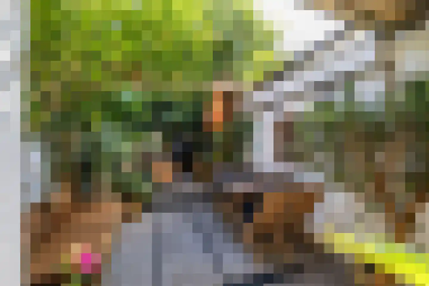 Koolstraat 26 Groningen thumbnail 35