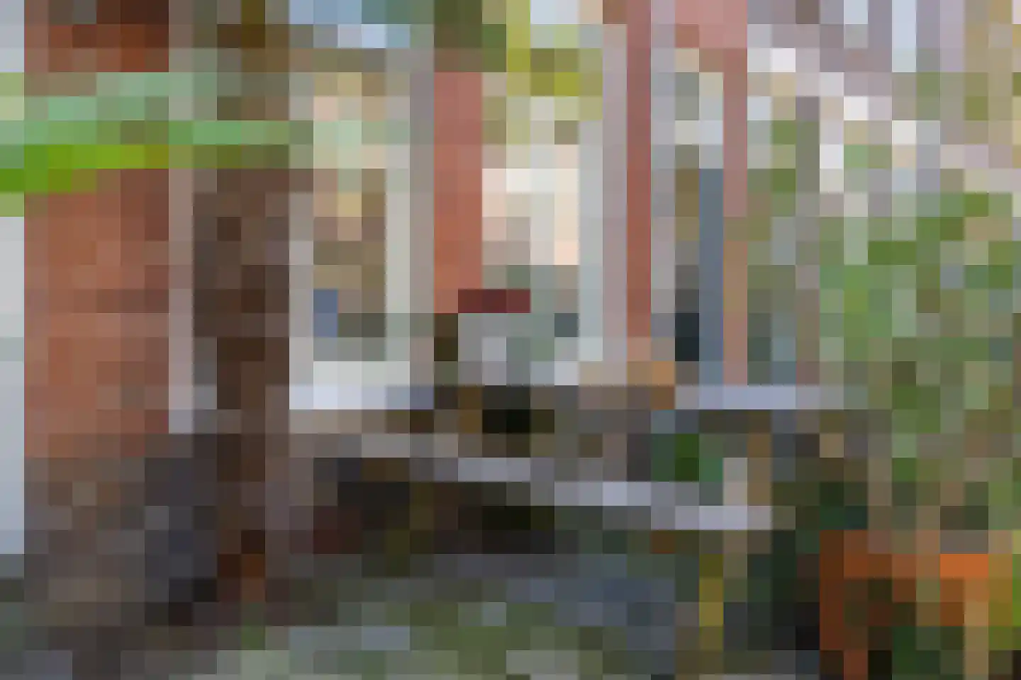 Koolstraat 26 Groningen thumbnail 38