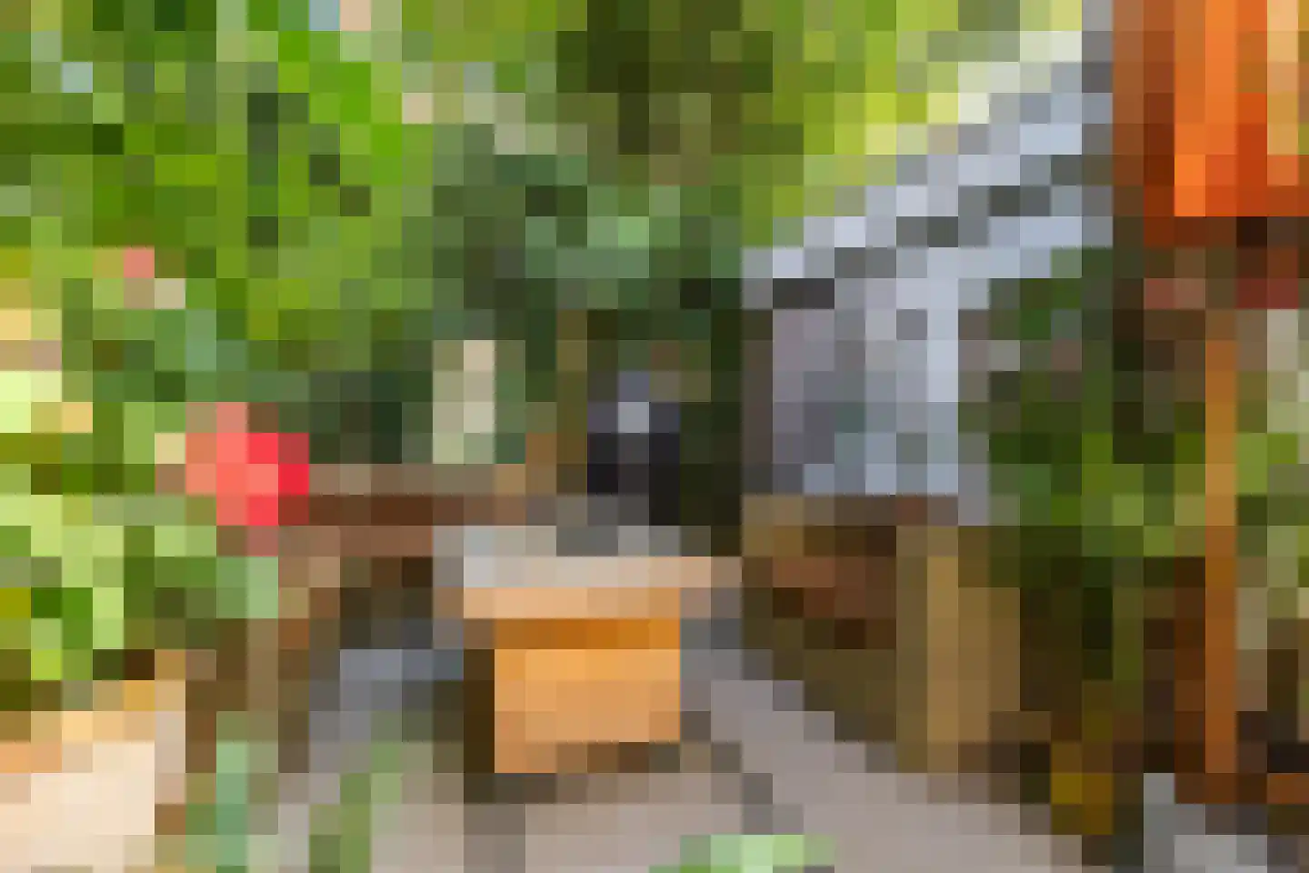 Koolstraat 26 Groningen thumbnail 5