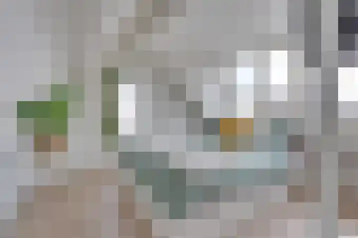 Koolstraat 47 Utrecht thumbnail 23