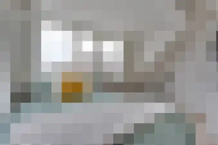 Koolstraat 47 Utrecht thumbnail 4