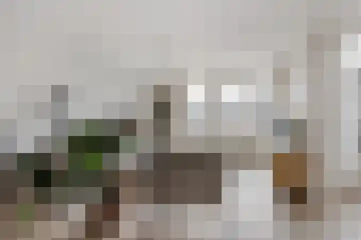 Koolstraat 5 B in Leiden