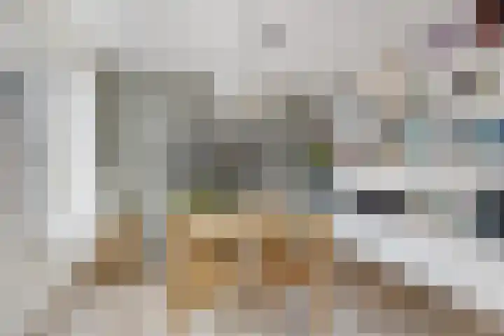 Koolstraat 5 B Leiden thumbnail 9
