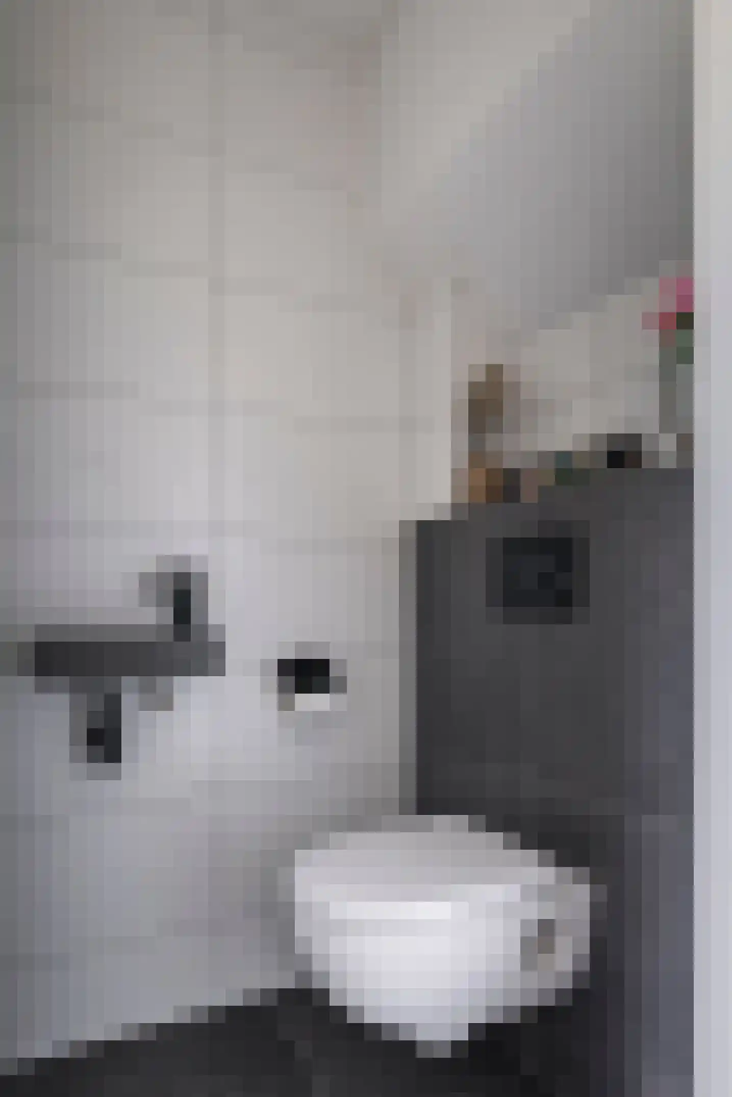 Kooltje Vuur 6 Eindhoven thumbnail 5