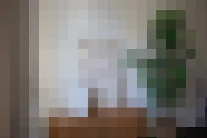 Kooltuin 26 Alkmaar thumbnail 10
