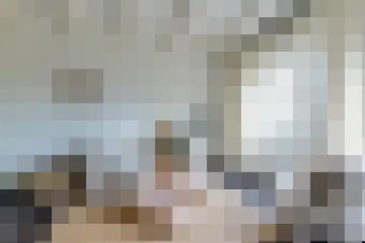 Kooltuin 26 Alkmaar thumbnail 11