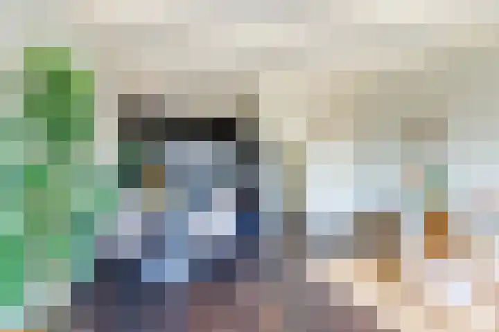 Kooltuin 26 Alkmaar thumbnail 13