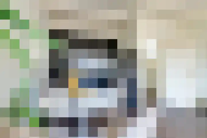Kooltuin 26 Alkmaar thumbnail 14