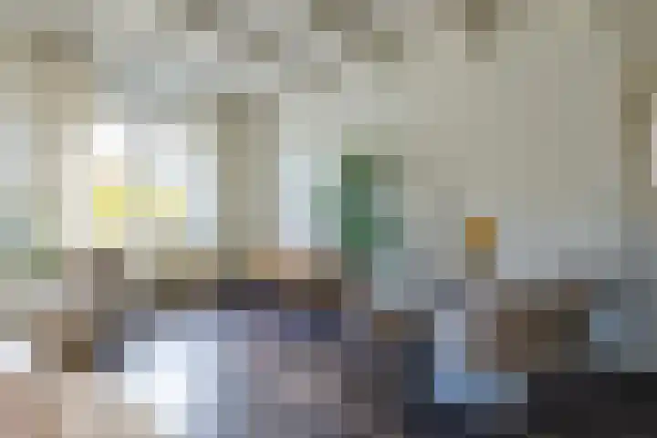 Kooltuin 26 Alkmaar thumbnail 15