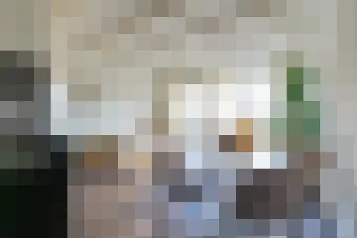 Kooltuin 26 Alkmaar thumbnail 16