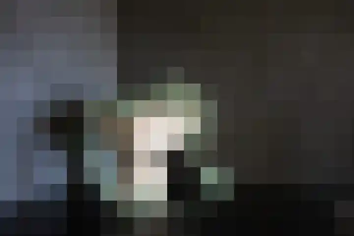 Kooltuin 26 Alkmaar thumbnail 19