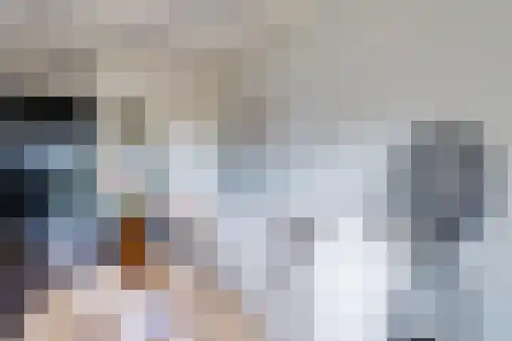 Kooltuin 26 Alkmaar thumbnail 20