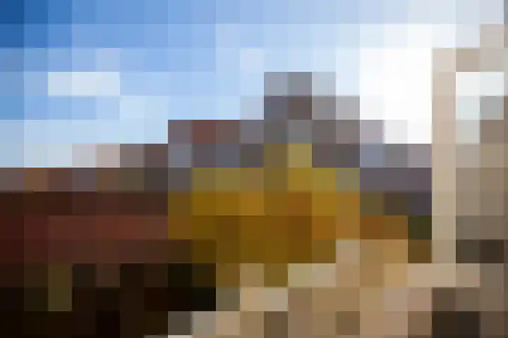 Kooltuin 26 Alkmaar thumbnail 24