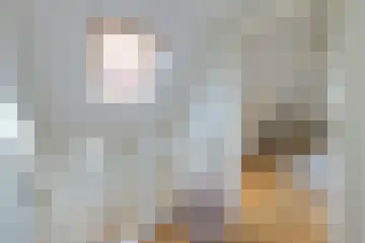 Kooltuin 26 Alkmaar thumbnail 27