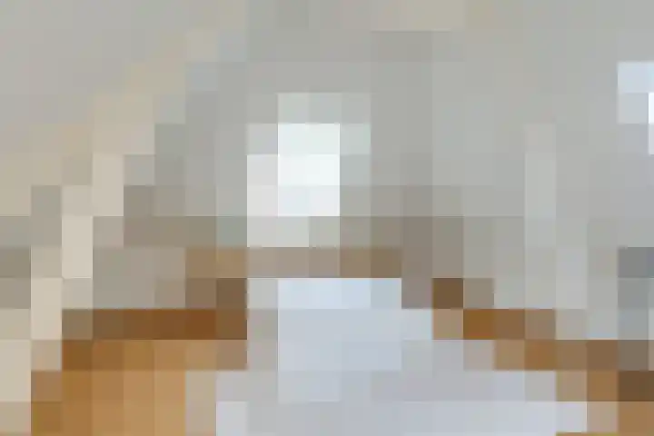 Kooltuin 26 Alkmaar thumbnail 28