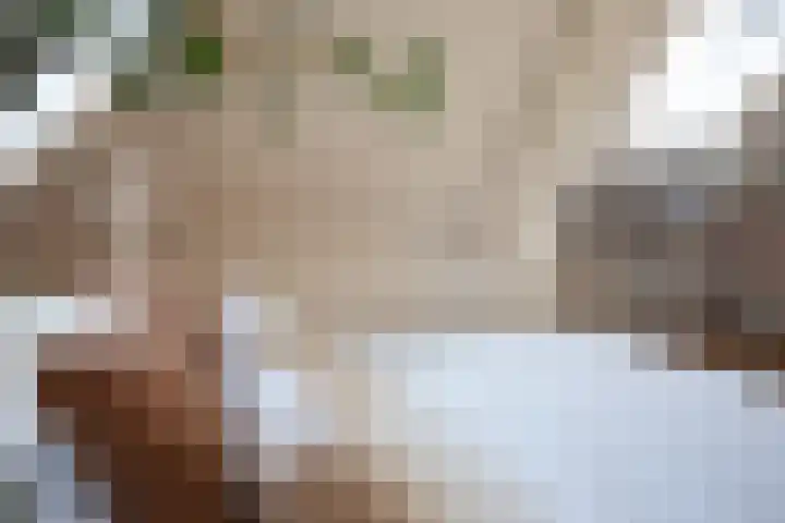 Kooltuin 26 Alkmaar thumbnail 29
