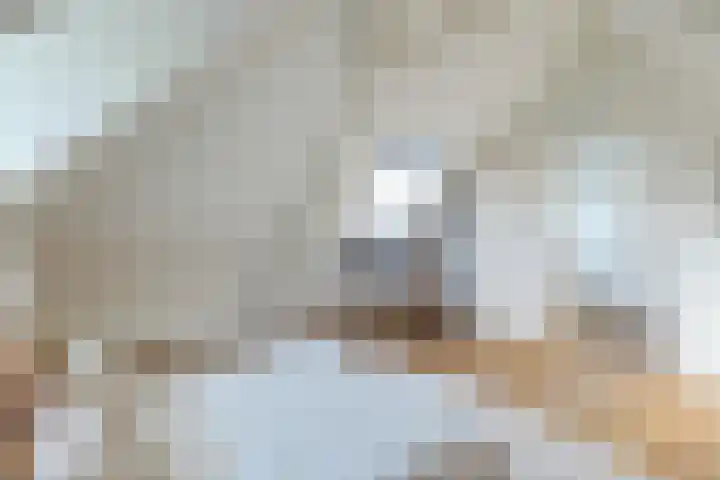 Kooltuin 26 Alkmaar thumbnail 30