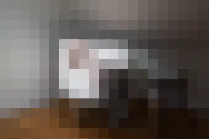 Kooltuin 26 Alkmaar thumbnail 32