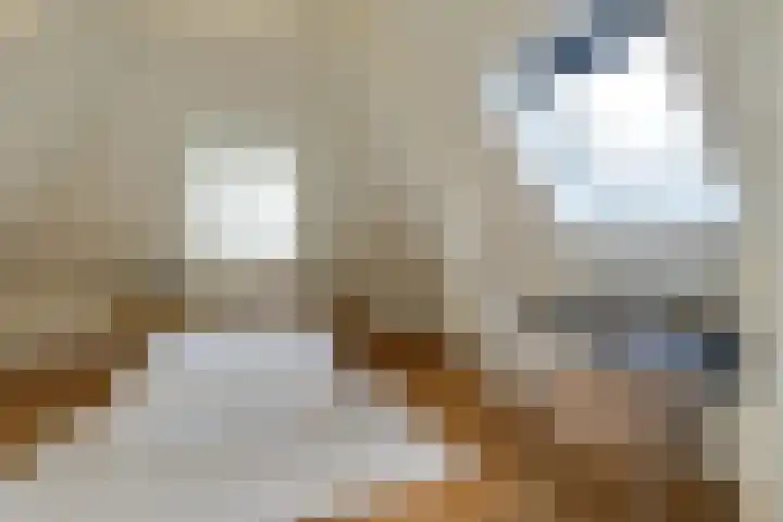 Kooltuin 26 Alkmaar thumbnail 33