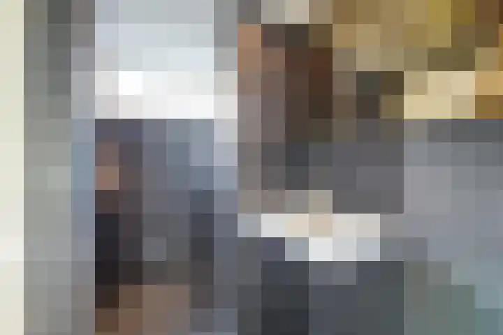 Kooltuin 26 Alkmaar thumbnail 37