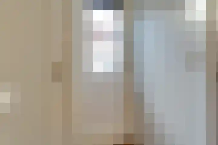 Kooltuin 26 Alkmaar thumbnail 39