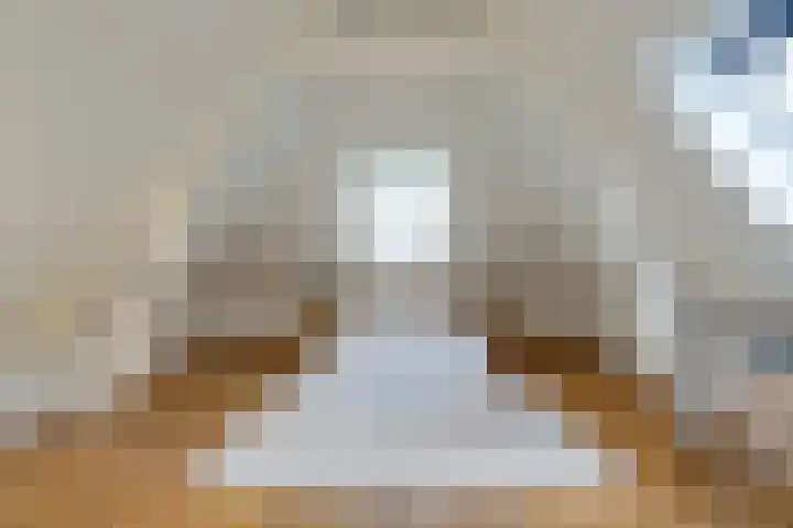 Kooltuin 26 Alkmaar thumbnail 4