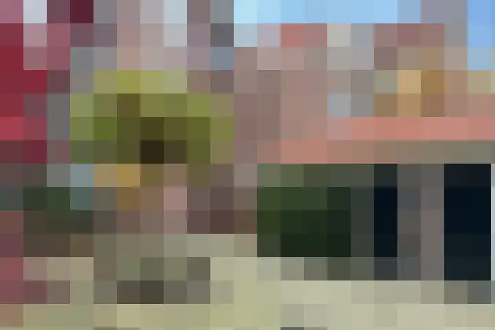 Kooltuin 26 Alkmaar thumbnail 42