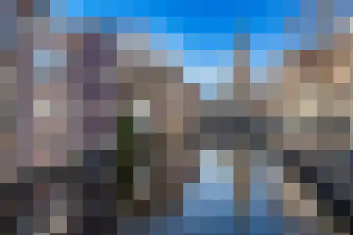 Kooltuin 26 Alkmaar thumbnail 47