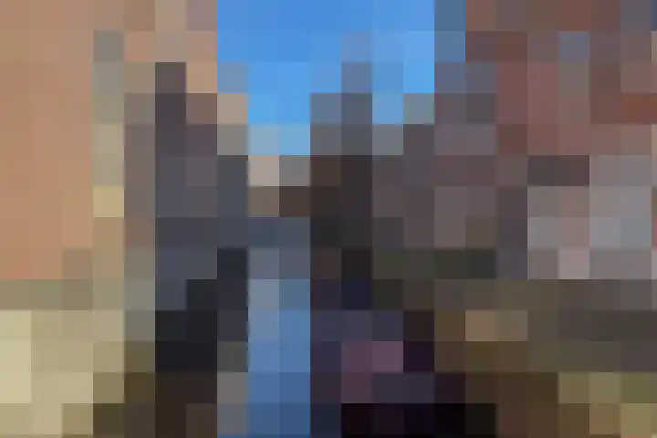 Kooltuin 26 Alkmaar thumbnail 48