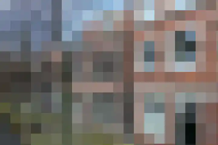 Kooltuin 26 Alkmaar thumbnail 50