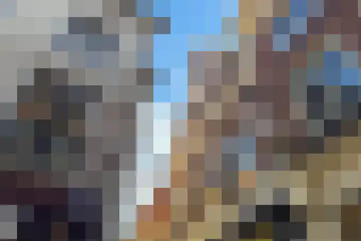 Kooltuin 26 Alkmaar thumbnail 57